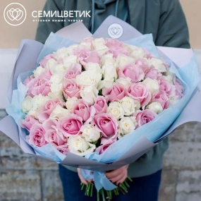 Букет из 101 белой и розовой розы 40 см (Россия) в сиреневой пленке