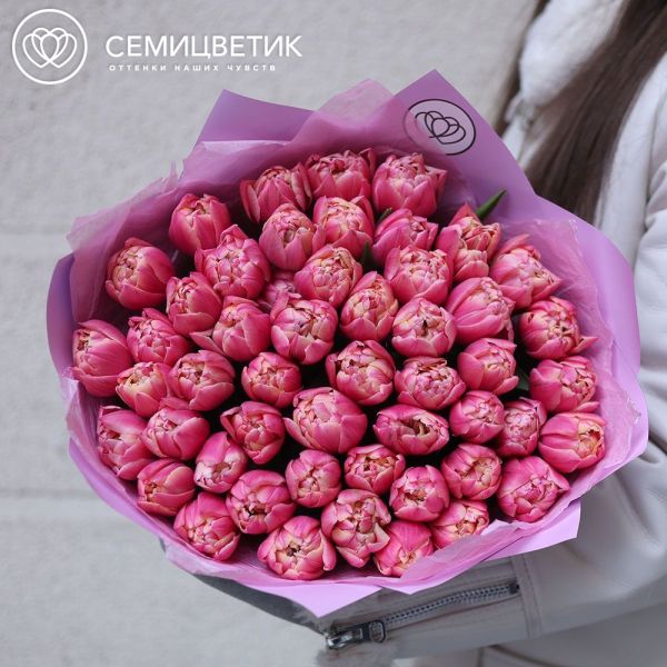 Букет из 51 розового пионовидного тюльпана в сиреневой пленке