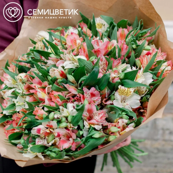 Букет из 51 альстромерии нежный микс в упаковке