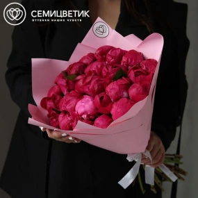 Букет из 25 ярко-розовых пионов Red Sarah Bernhardt Premium в розовой упаковке