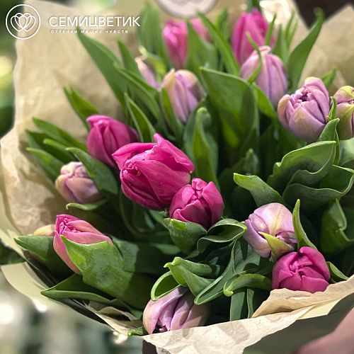 15 пионовидных тюльпанов микс в сиреневых тонах
