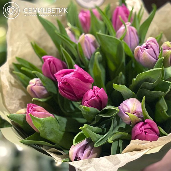 Букет из 15 пионовидных тюльпанов микс в сиреневых тонах