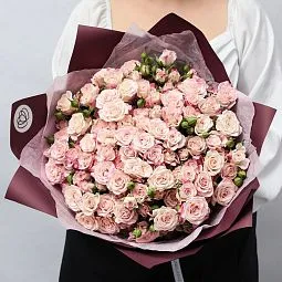 Букет учителю физкультуры из 25 белых с розовой каймой кустовых роз 40 см (Кения) в бордовой пленке
