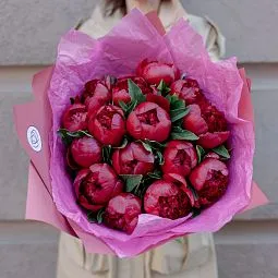 Букет из 15 бордовых пионов Premium
