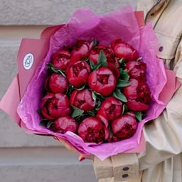 Букет из 15 бордовых пионов Premium