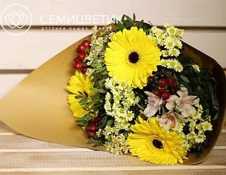 Букет из гербер, хризантемы и альстромерии в упаковке