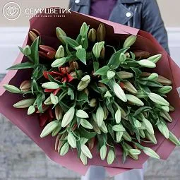 Букет из 15 лилий азиатка микс