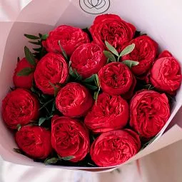 Букет из 15 красных пионовидных роз Red Piano 40 см в розовой пленке
