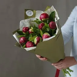 Букет из 9 бордовых пионов Premium