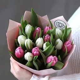 Букет из 15 розовых и белых тюльпанов 40 см