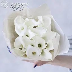 Букет из 15 белых калл