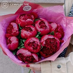 Букет из 9 бордовых пионов Premium
