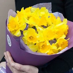 Букет из 15 нарциссов