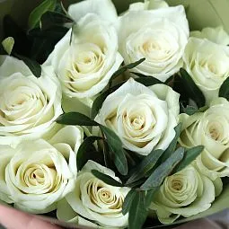 Букет из 9 белых роз 40 см (Кения) с фисташкой