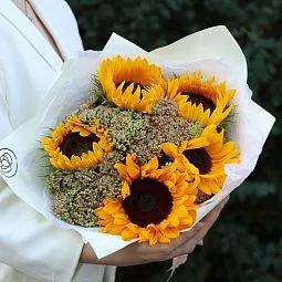 Букет из 5 подсолнухов с седумом в зеленой пленке