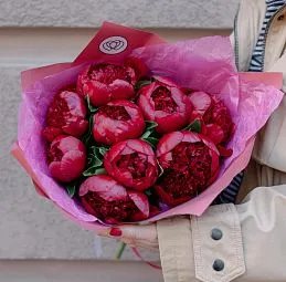 Букет из 9 бордовых пионов Premium