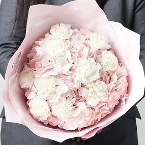 Букет из 3 розовых гортензий и 10 белых гвоздик в розовой пленке