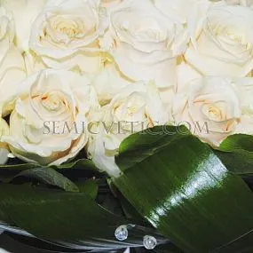 Композиция сердце из 25 белых роз (Эквадор) Vendela