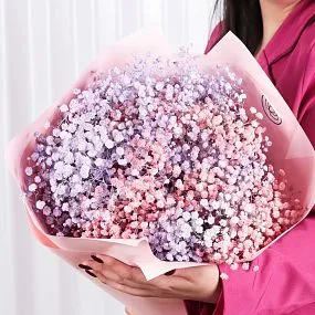 Букет из 9 розовых и сиреневых гипсофил