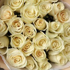 Букет из 25 белых роз Athena 50 см (Кения)