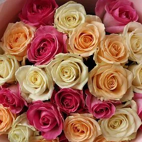 Букет из 25 роз 50 см нежный микс (Россия)