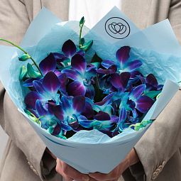 Букет из 25 синих орхидей Пандора в голубой пленке