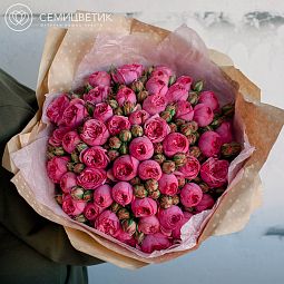 Букет из 51 ярко-розовых пионовидных кустовых роз Pink Piano 40 см