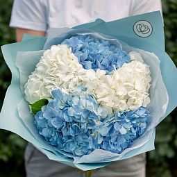 Бело-голубой свадебный букет  из 5 голубых и белых гортензий