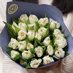 Букет из 25 белых пионовидных тюльпанов