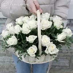 Композиция из 25 белых роз (Россия) с фисташкой в корзине
