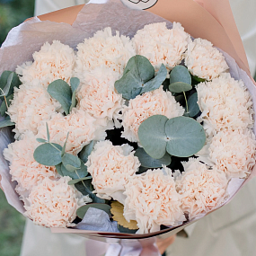 Букет из 15 кремовых гвоздик с эвкалиптом в кремовой пленке