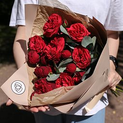 Букет из 9 красных кустовых пионовидных роз Red Piano 40 см с эвкалиптом
