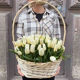 Композиция из 51 белого тюльпана с фисташкой в корзине