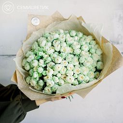 Букет из 51 бело-фисташковой кустовой пионовидной розы Blanchette 40 см