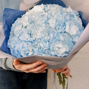 Букет из 7 голубых гортензий в белой пленке