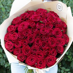 51 красная роза (Россия) 60 см