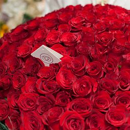 9 красных роз (Эквадор) 50 см Freedom