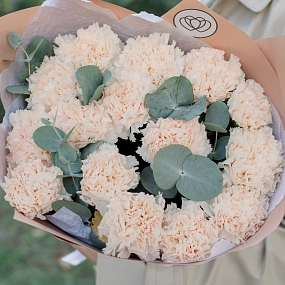 Букет из 15 кремовых гвоздик с эвкалиптом в кремовой пленке