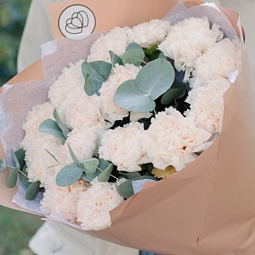 Букет из 15 кремовых гвоздик с эвкалиптом в кремовой пленке