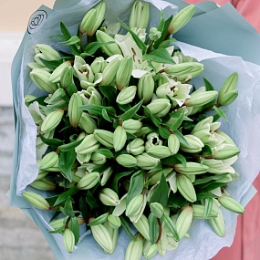 Букет из 15 белых лилий азиатка в голубой пленке