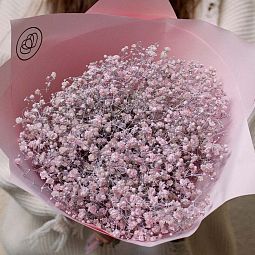 Букет из 11 розовых гипсофил в розовой пленке