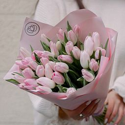Букет из 35 нежно-розовых тюльпанов