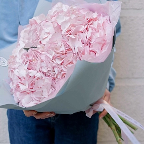 Букет из 7 розовых гортензий в голубой пленке