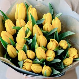 Букет из 25 желтых тюльпанов в упаковке