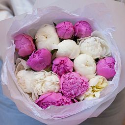 Бело-розовый свадебный букет  из 15 ярко-розовых и белых пионов Standart Plus