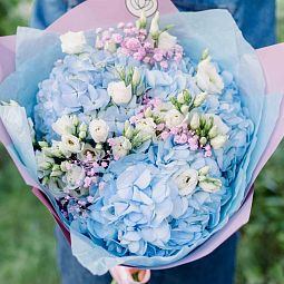 Бело-голубой свадебный букет  из 3 голубых гортензий, 4 белых лизиантусов и гипсофилы в розовой пленке