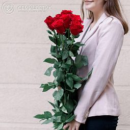Букет из 9 красных роз Freedom 140 см (Эквадор)