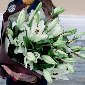 Букет из 9 белых лилий азиатка в бордовой пленке