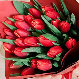 Букет из 25 красных тюльпанов в упаковке