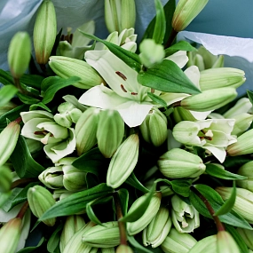 Букет из 15 белых лилий азиатка в голубой пленке